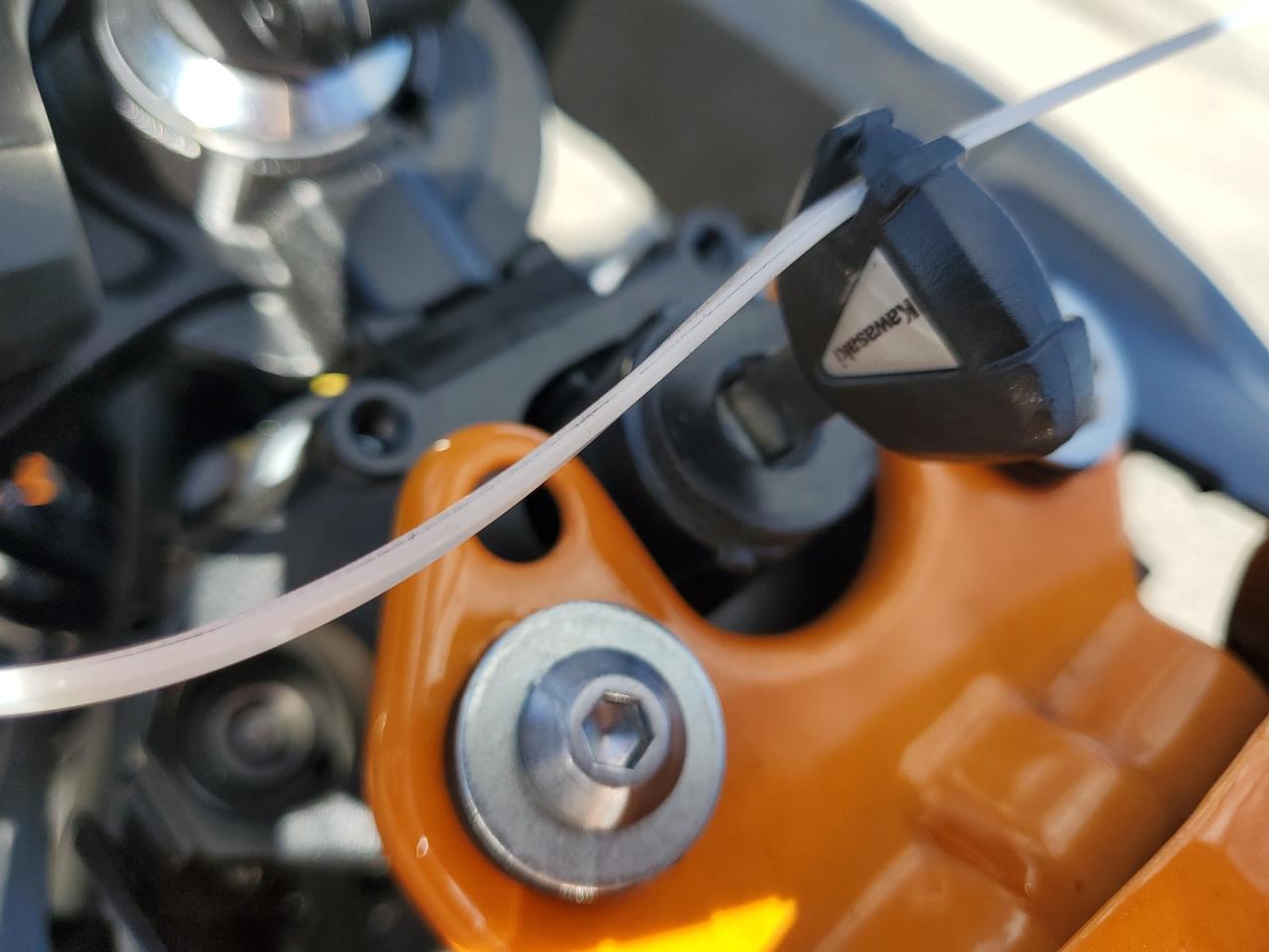 Lot #3297170913 2025 KAWASAKI EX650 P