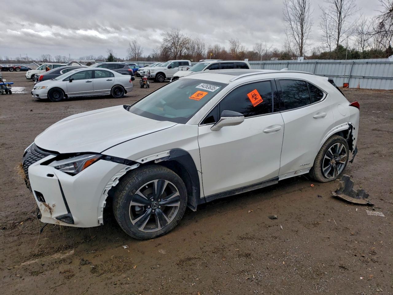LEXUS UX 250H