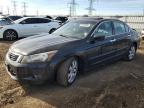 Lot #3296238406 2009 HONDA ACCORD EXL
