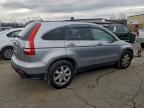 Lot #3301603698 2008 HONDA CR-V EXL