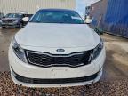Lot #3304803314 2013 KIA OPTIMA HYB