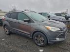 Lot #3311515243 2015 FORD ESCAPE