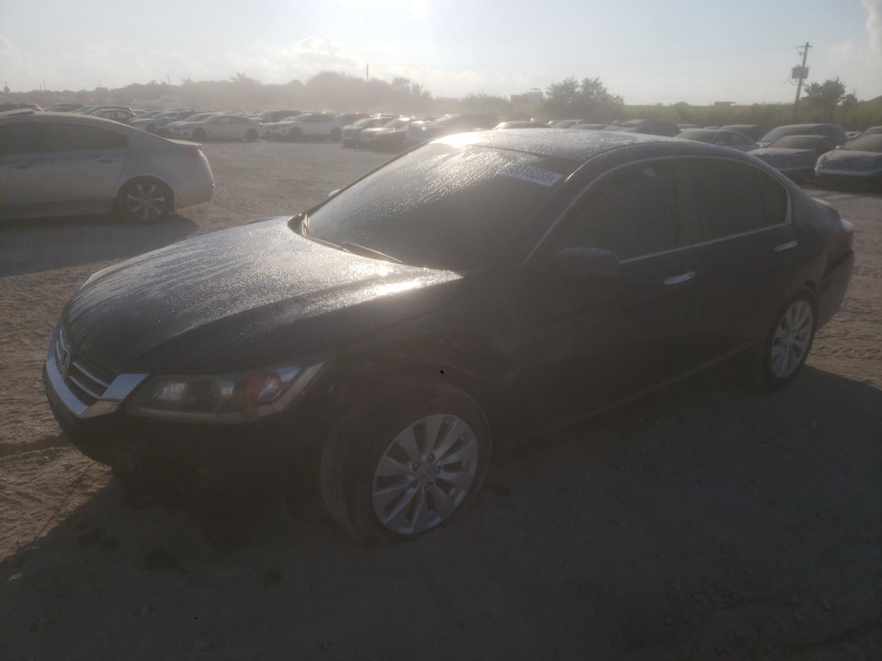 Lot #3315925096 2013 HONDA ACCORD EXL