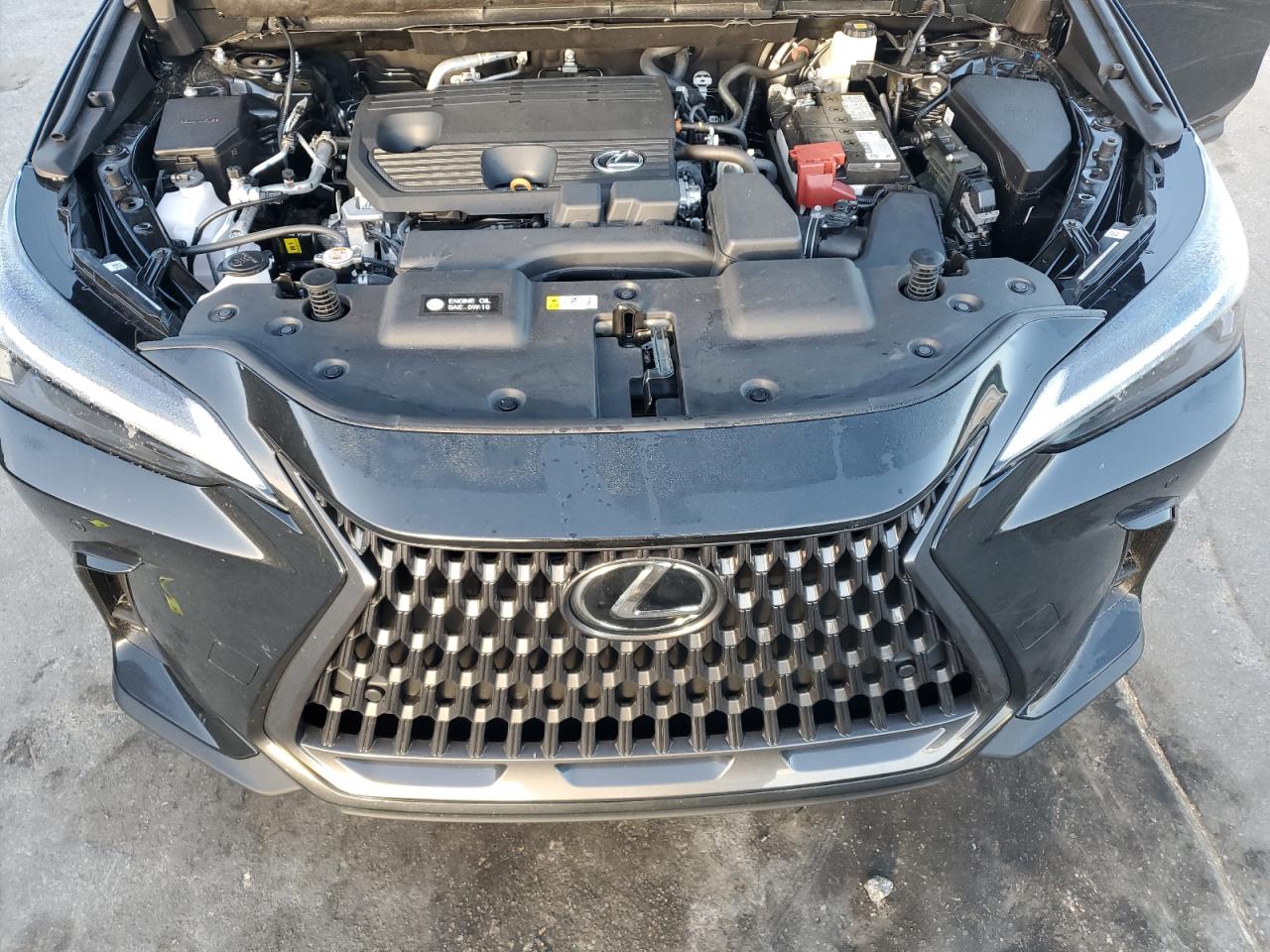 LEXUS NX 250 BASE