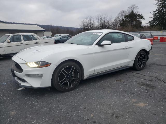 2019 FORD MUSTANG #3292503679