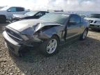 Lot #3303861796 2013 FORD MUSTANG