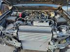 Lot #3310540068 2025 TOYOTA TACOMA DOU