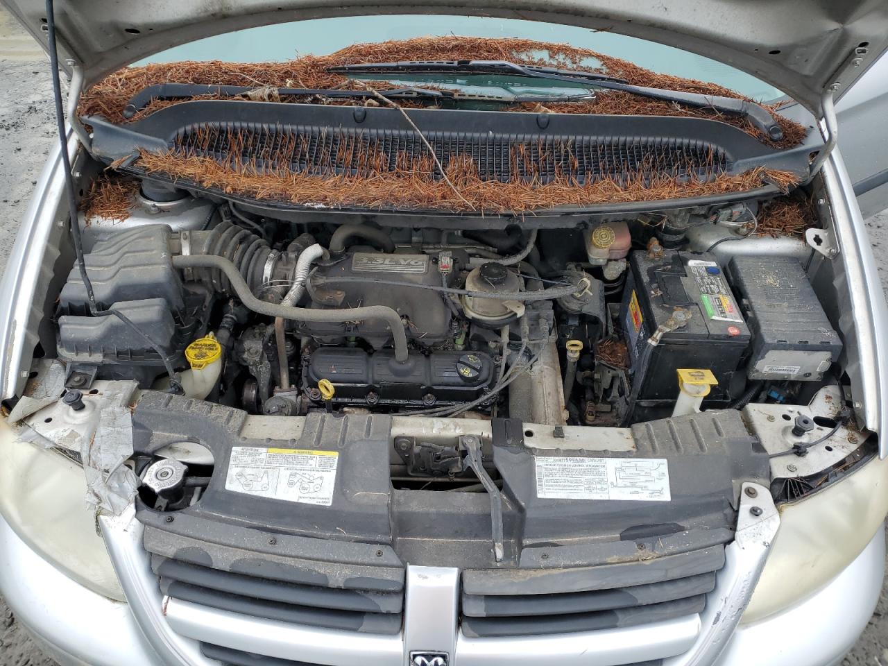 Lot #3290259218 2007 DODGE GRAND CARA