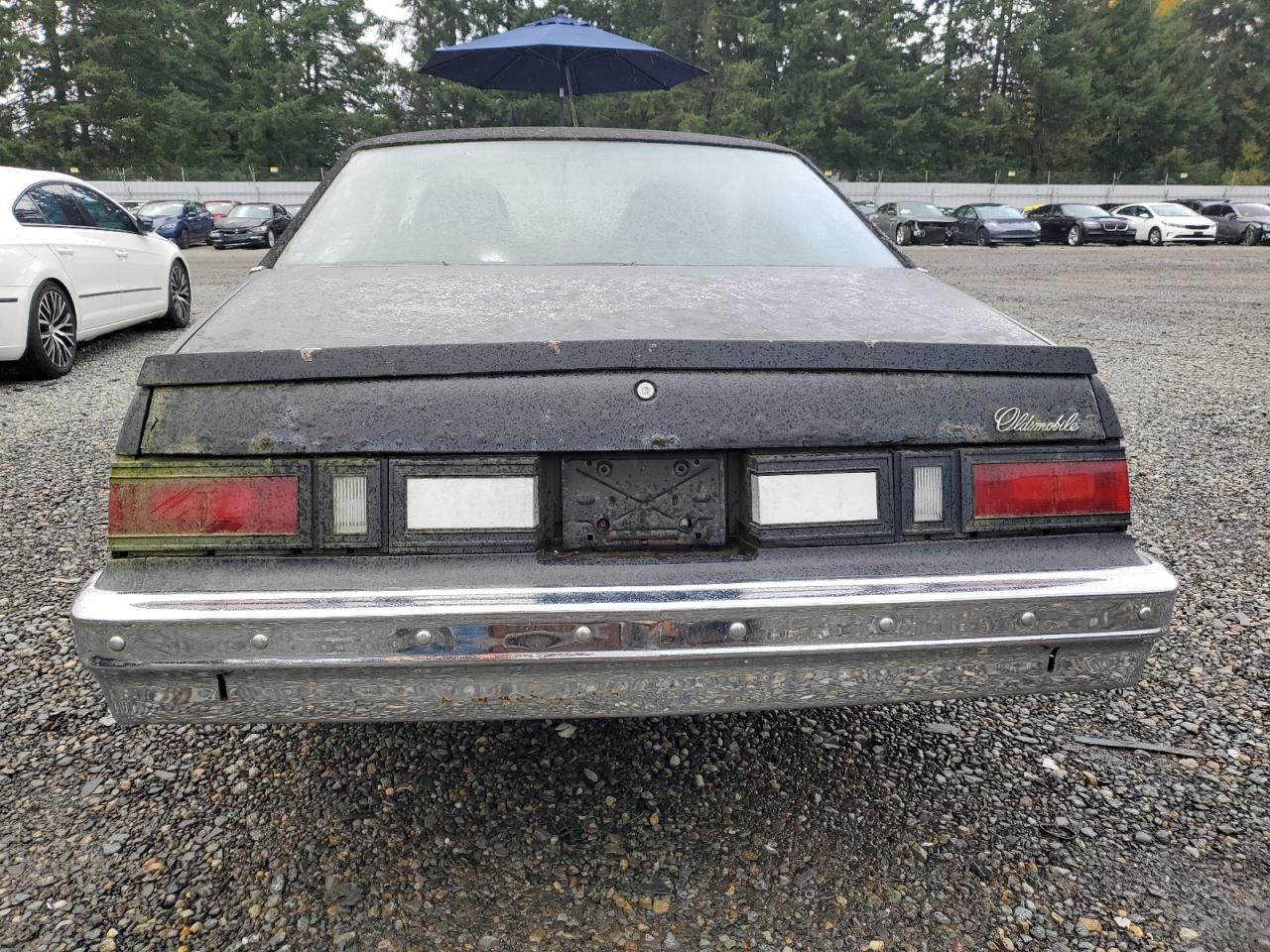 Lot #3282693301 1976 OLDSMOBILE OMEGA