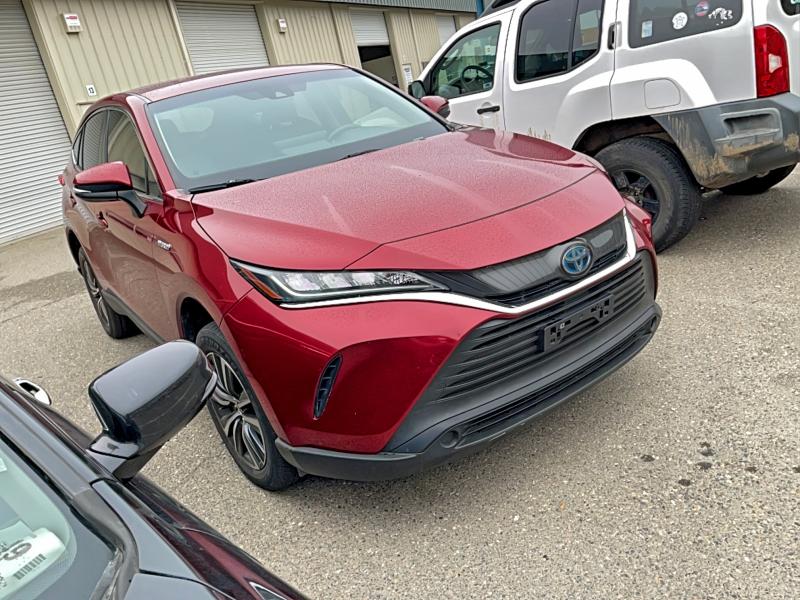 2021 TOYOTA VENZA LE #3296879839