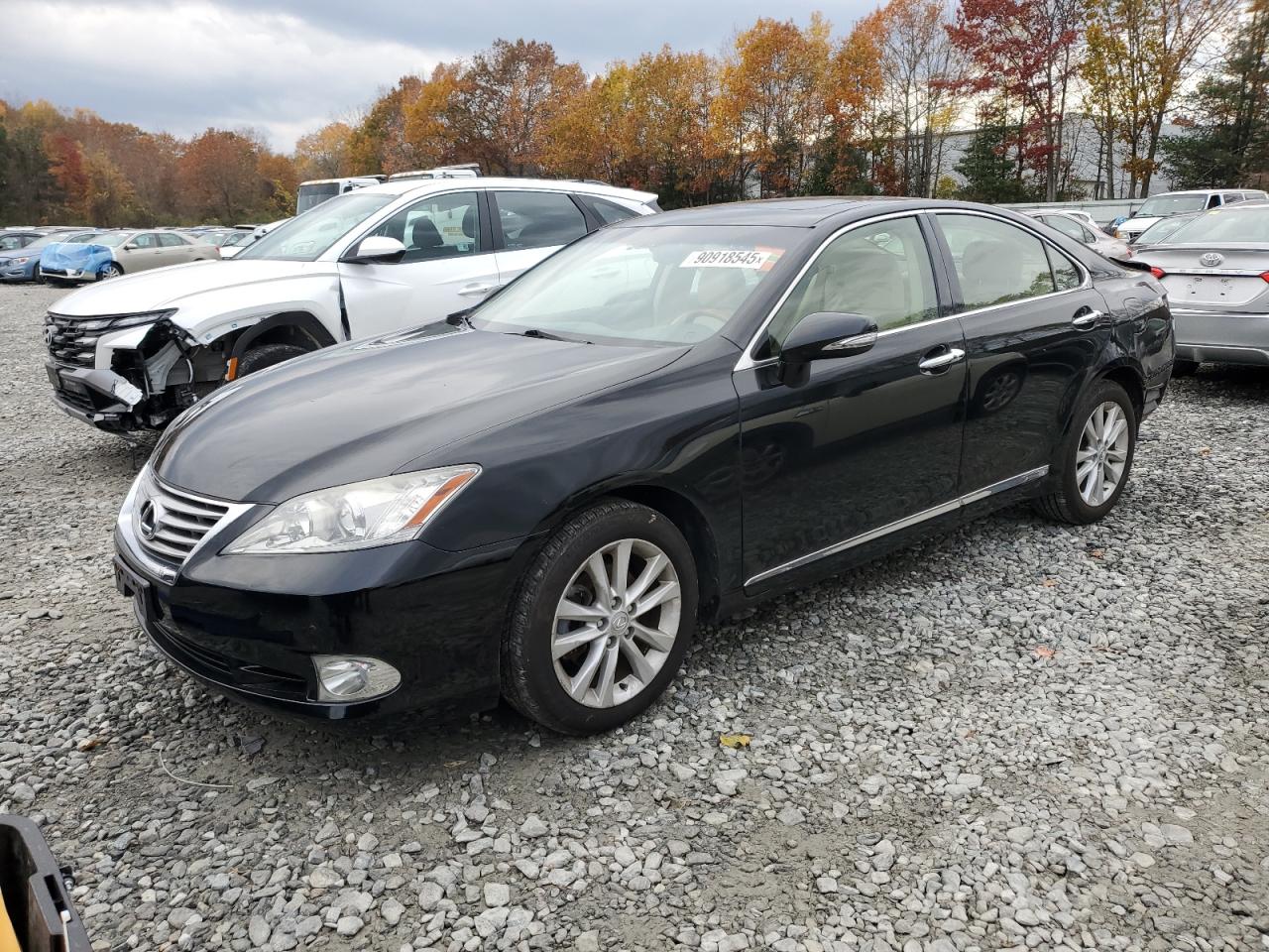 LEXUS ES 350