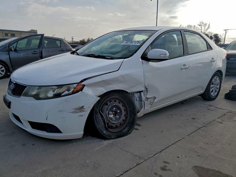 Global Auto Auctions: 2010 KIA FORTE EX