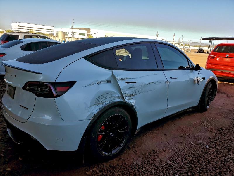 2021 TESLA MODEL Y #3301716445