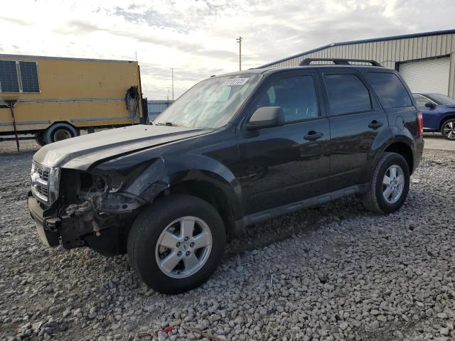 Global Auto Auctions: 2011 FORD ESCAPE XLT