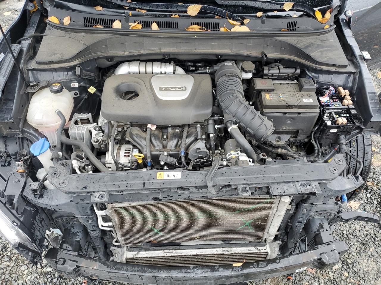 HYUNDAI KONA LIMITED