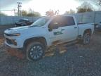 Lot #3316870095 2024 CHEVROLET SILVERADO
