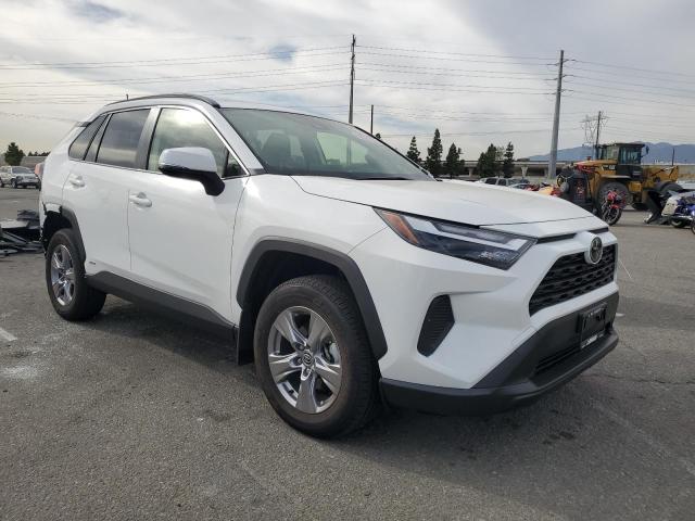 2025 TOYOTA RAV4 LE #3317761086