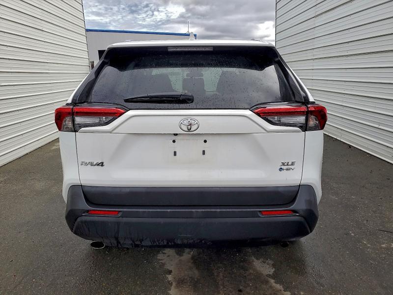 2025 TOYOTA RAV4 XLE #3312781090