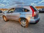 Lot #3301342399 2008 HONDA CR-V EXL