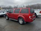 Lot #3305302299 2005 NISSAN PATHFINDER
