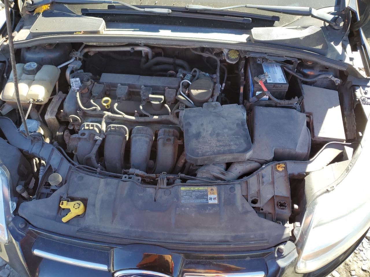 Lot #3311539240 2012 FORD FOCUS SEL