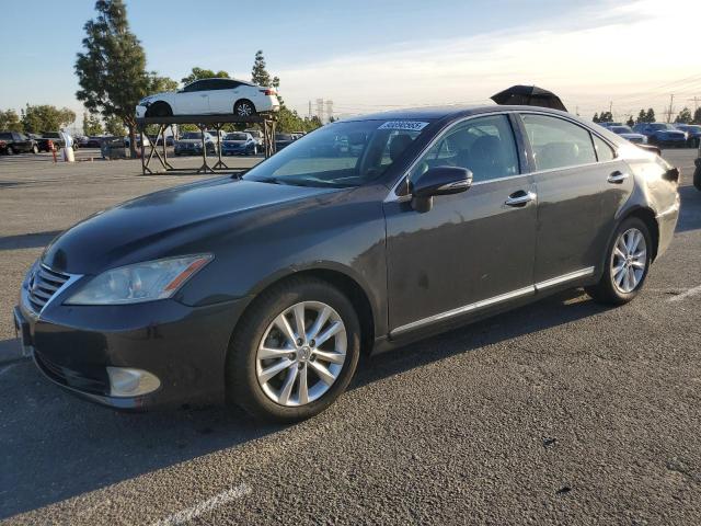 Global Auto Auctions: 2010 LEXUS ES 350