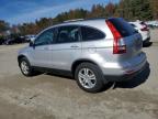 Lot #3303816444 2010 HONDA CR-V EXL