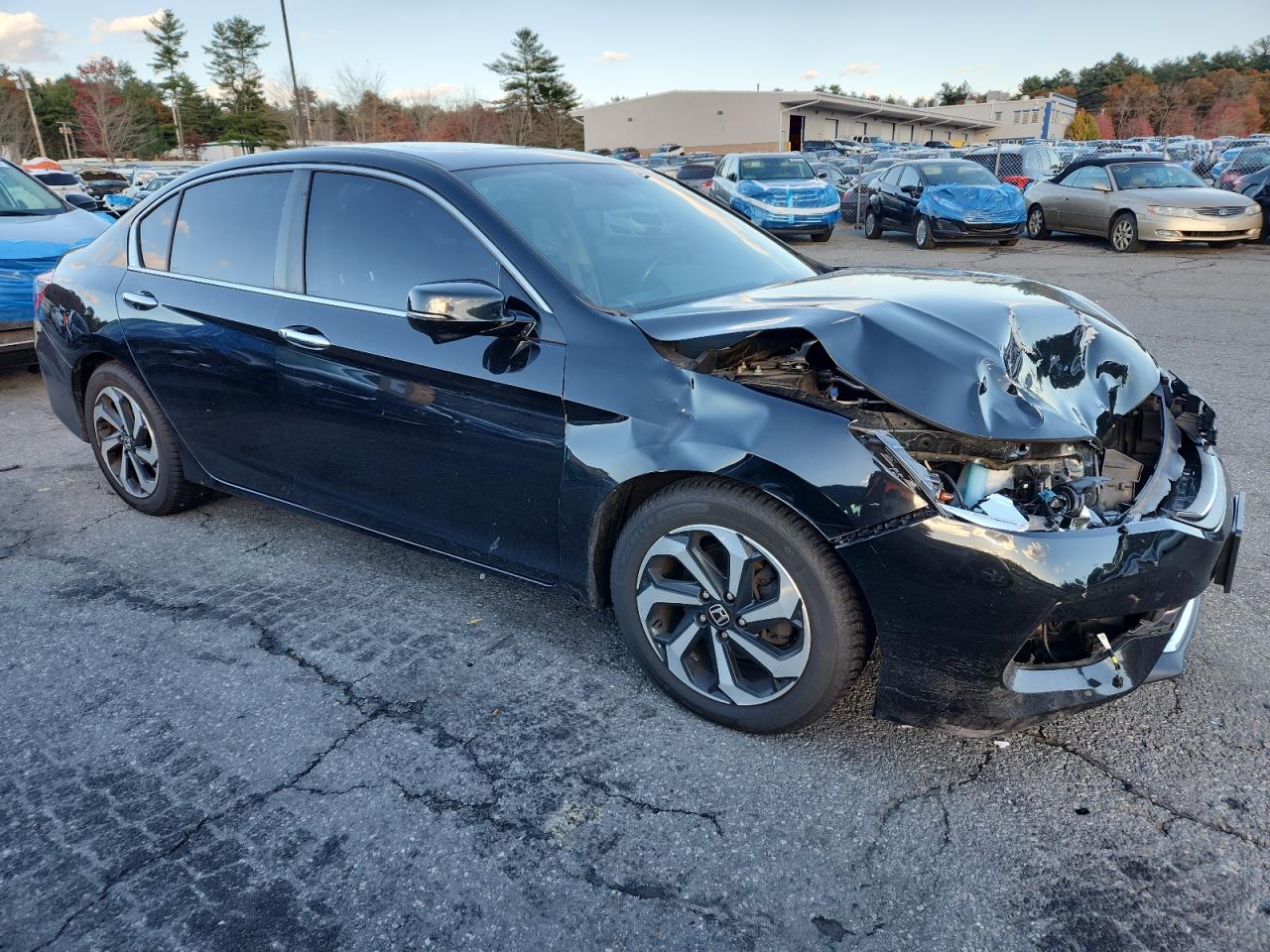 Lot #3312538609 2016 HONDA ACCORD EXL