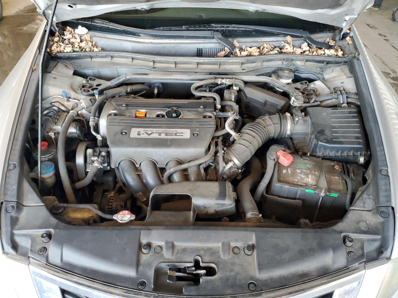 Lot #3310755779 2009 HONDA ACCORD EX