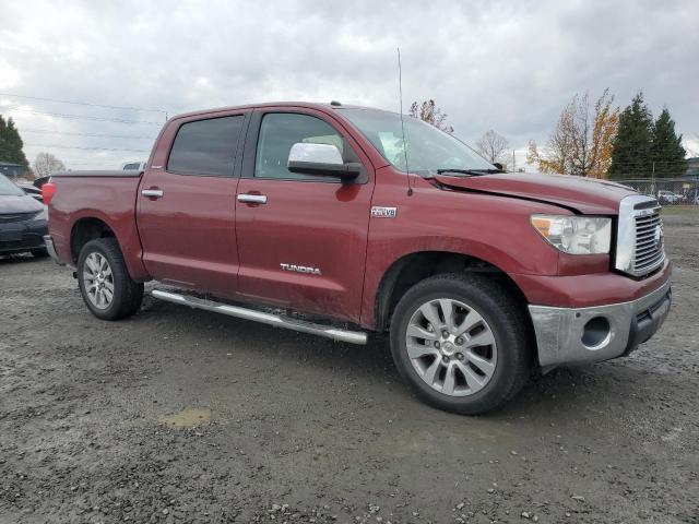 2010 TOYOTA TUNDRA CRE - 5TFHY5F11AX138633