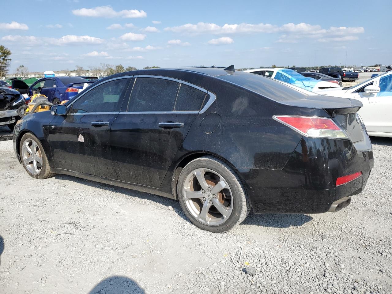 Lot #3293291489 2009 ACURA TL