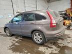 Lot #3303856517 2010 HONDA CR-V
