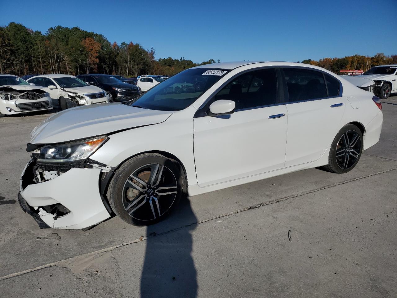 HONDA ACCORD SPORT