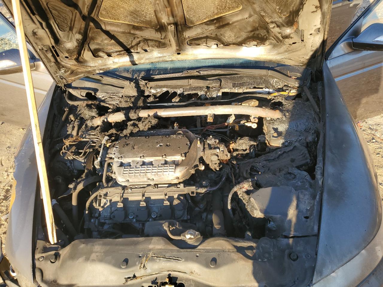 Lot #3291297446 2008 ACURA TL