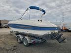 Lot #3297909790 2008 BAYLINER BOAT