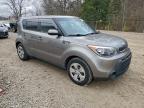 Lot #3294315891 2014 KIA SOUL