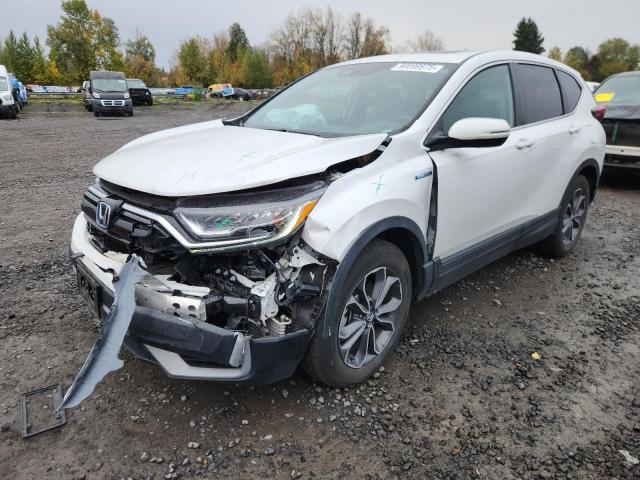 Global Auto Auctions: 2022 HONDA CR-V EXL