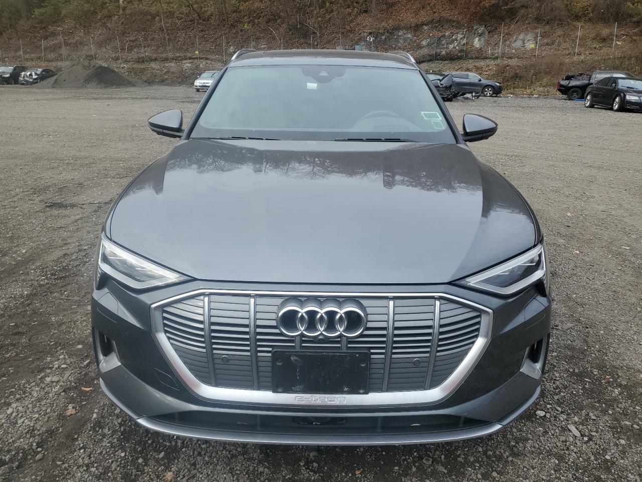 AUDI E-TRON PRESTIGE