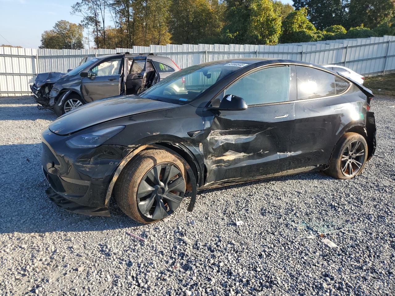 Lot #3287409364 2025 TESLA MODEL Y