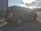 Lot #3301768349 2011 FORD ESCAPE XLT