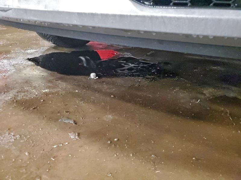 2017 HYUNDAI TUCSON LIM #3297929786