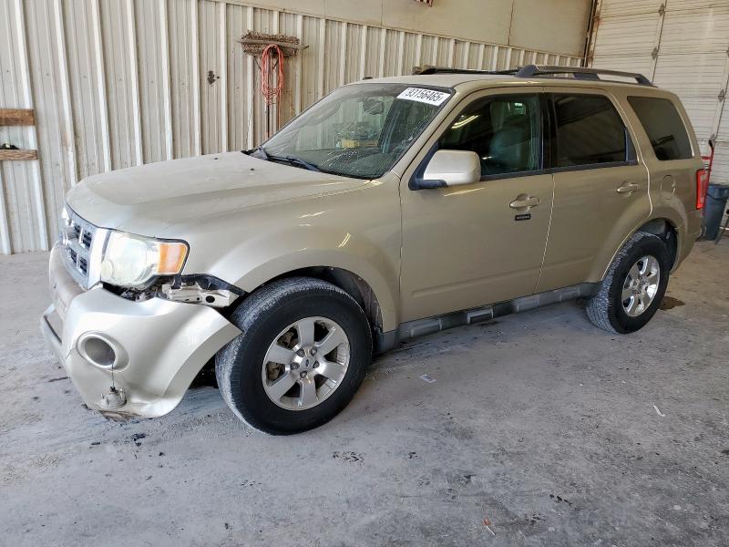 Global Auto Auctions: 2011 FORD ESCAPE LIM