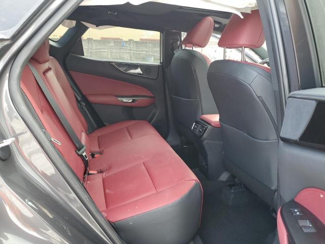 2025 LEXUS NX 250 BAS #3302798942