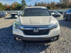 Lot #3294407538 2017 HONDA RIDGELINE
