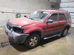 Lot #3293454474 2006 FORD ESCAPE XLS