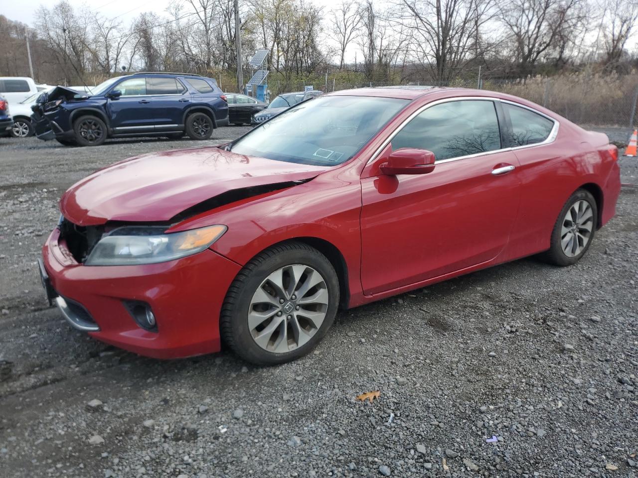 HONDA ACCORD EXL