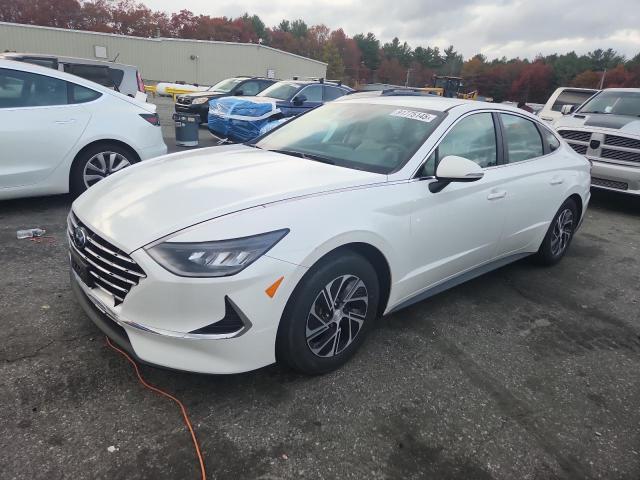 Global Auto Auctions: 2022 HYUNDAI SONATA HYB