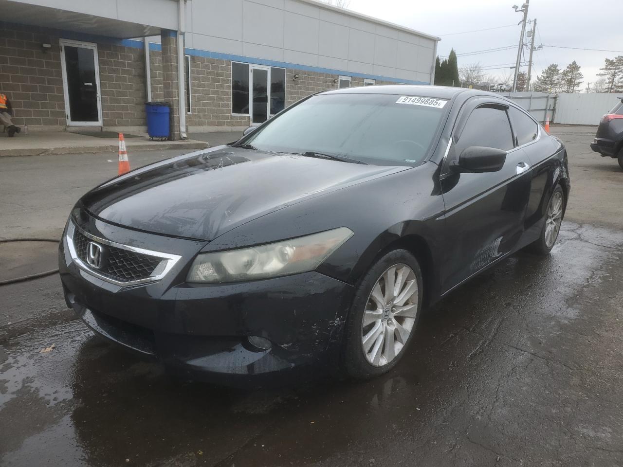 HONDA ACCORD EXL
