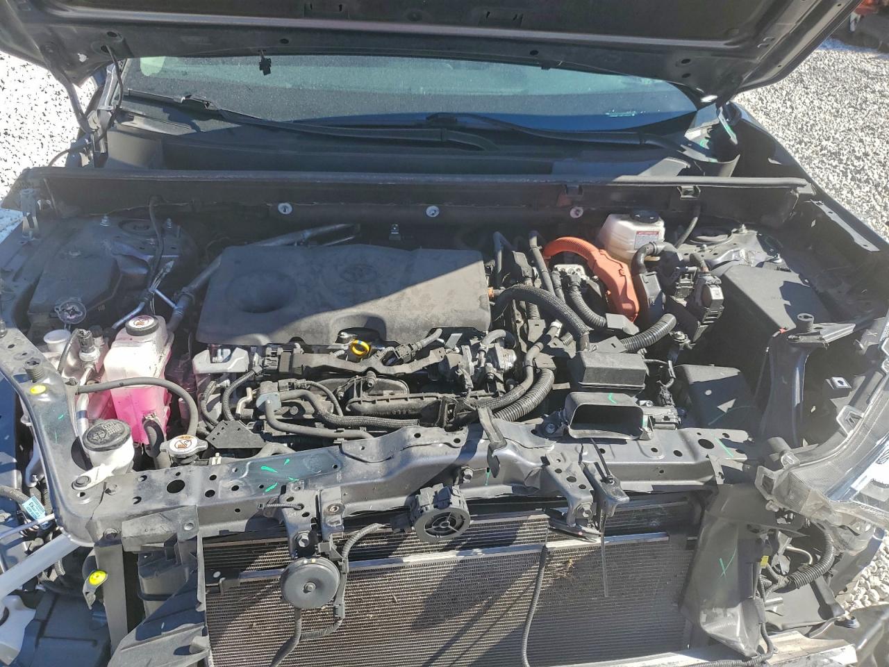 TOYOTA RAV4 XLE PREMIUM