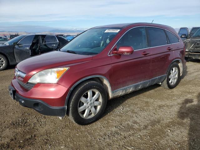 Global Auto Auctions: 2008 HONDA CR-V EXL